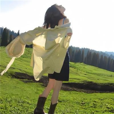 铁血英豪